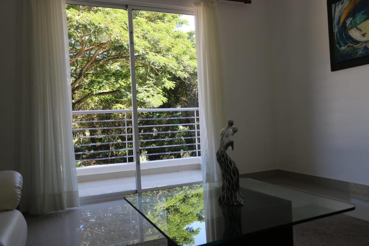 Apartamento Amueblado Amplio Tranquilo Privado Como Tu Lo Mereces Santiago De Los Caballeros Kültér fotó