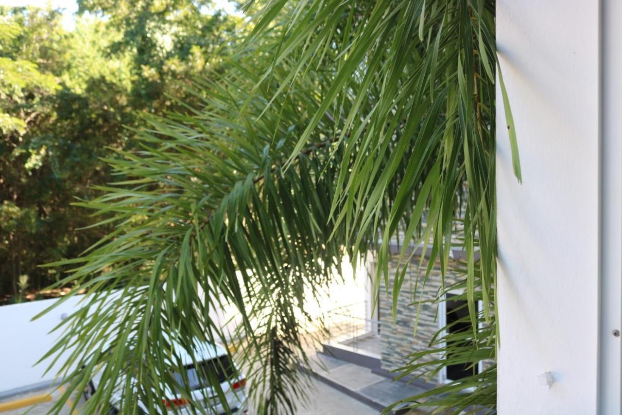 Apartamento Amueblado Amplio Tranquilo Privado Como Tu Lo Mereces Santiago De Los Caballeros Kültér fotó